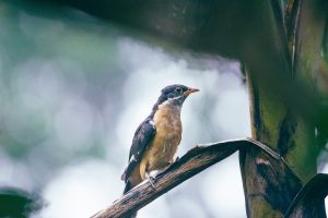 Is Is Gambling Legal in India This Week Legal in India? Complete 2026 Guide